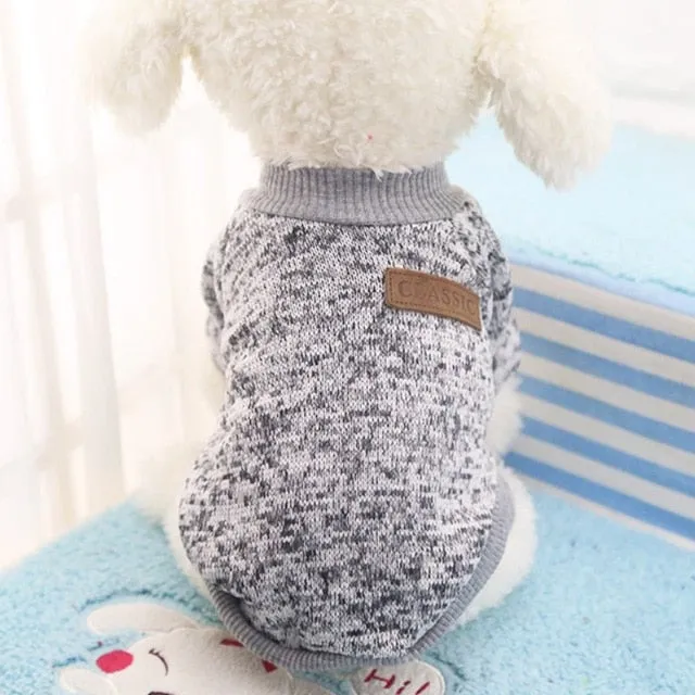 Dog Winter Clothes