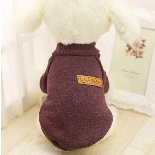 Dog Winter Clothes