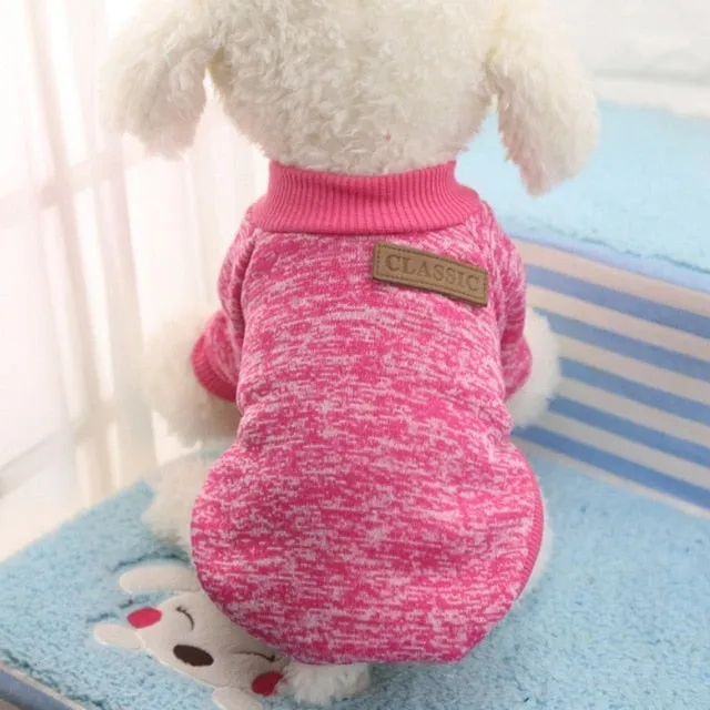 Dog Winter Clothes