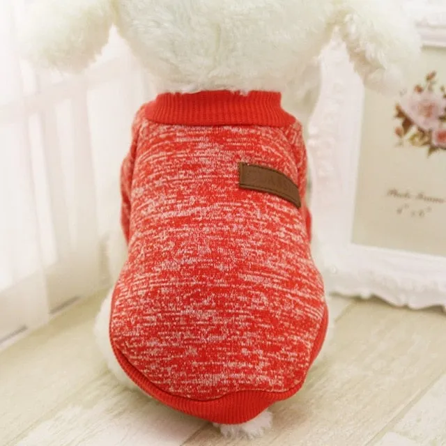 Dog Winter Clothes