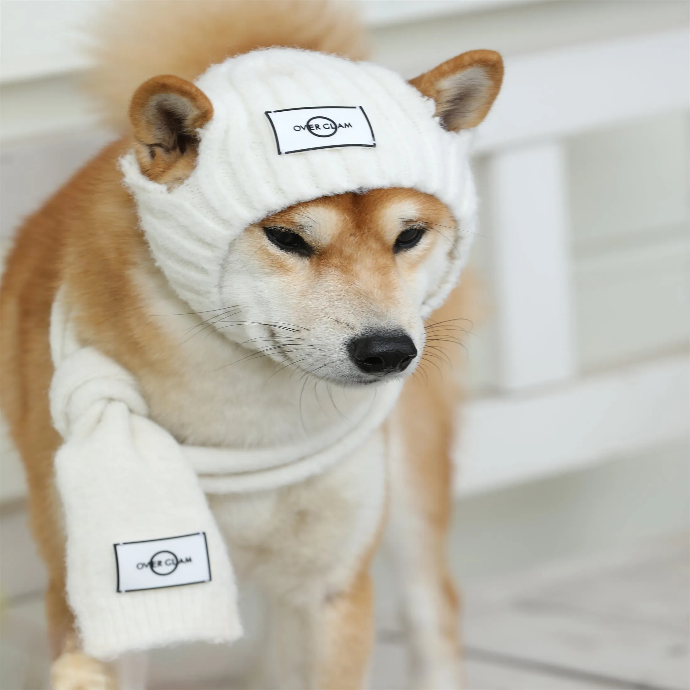Woolen Scarf