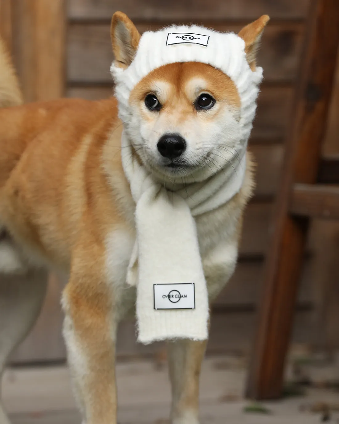 Woolen Scarf